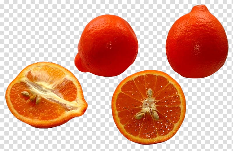 Clementine Tangerine Tangelo Grapefruit Rangpur, Minneola Tangelos transparent background PNG clipart