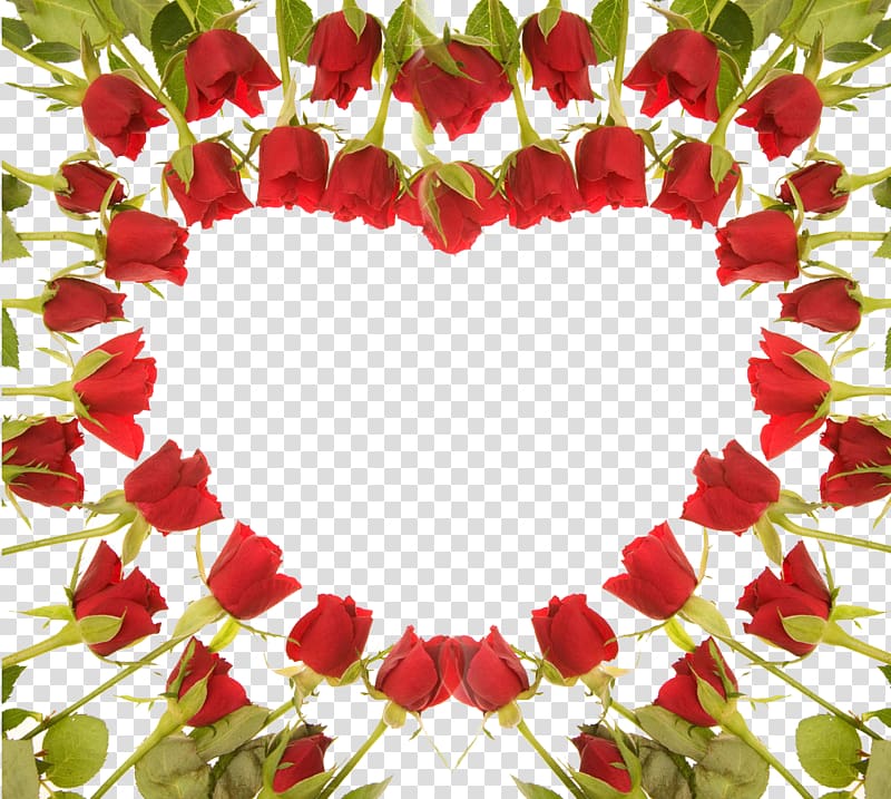 Rose Flower Gift Desktop , Red Rose Wedding transparent background PNG clipart