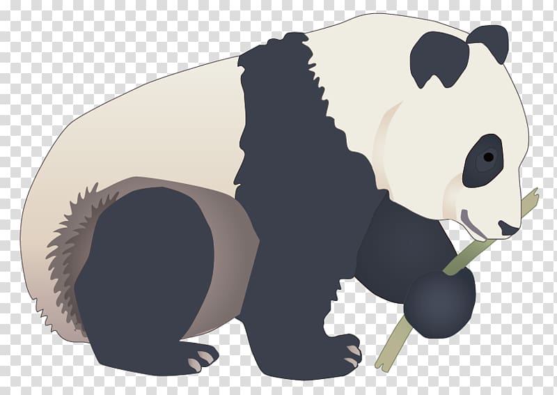 Giant panda Red panda, Panda transparent background PNG clipart
