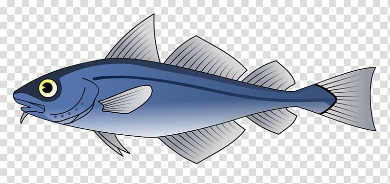 Cod Fish , fish transparent background PNG clipart