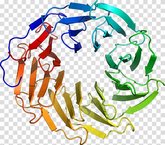 Human behavior Organism Line , line transparent background PNG clipart Human behavior Organism Line , line transparent background PNG clipart