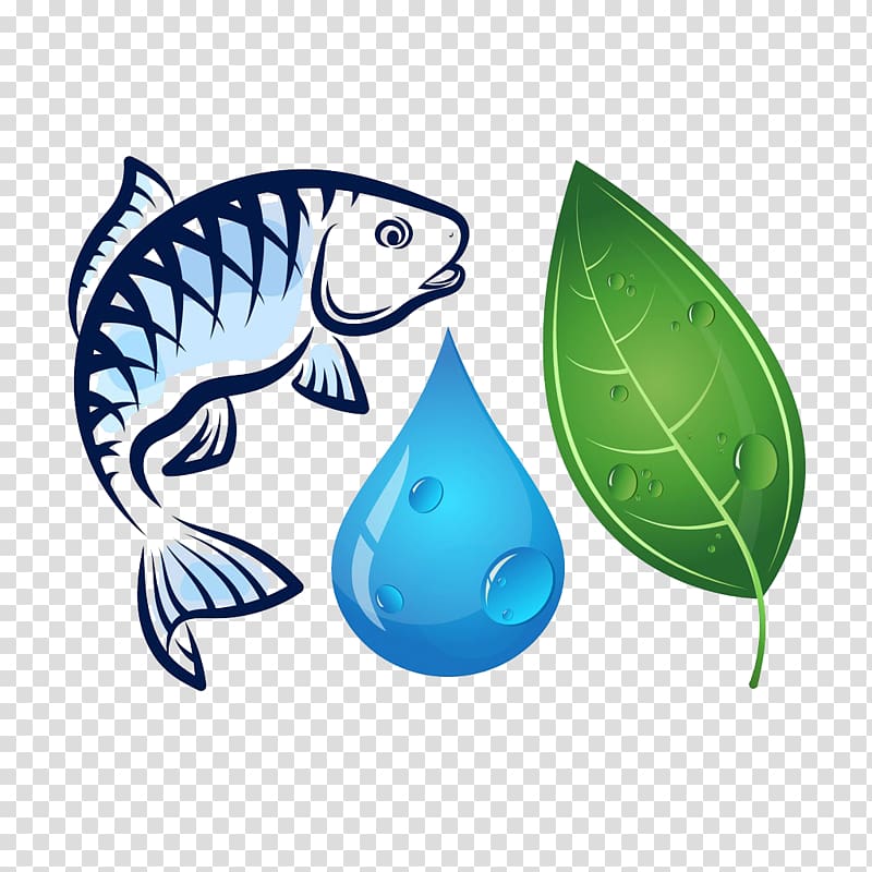 Fish , Fish and water droplets transparent background PNG clipart