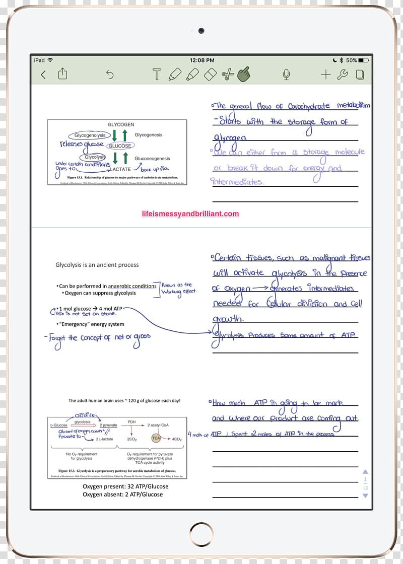 Note-taking Computer program College Laptop, bullet journal transparent background PNG clipart