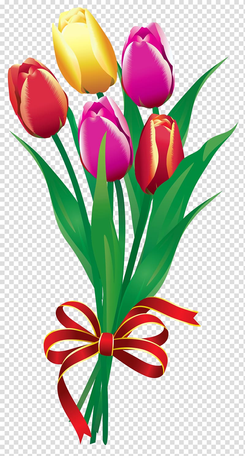 pink, yellow, and red tulip flower bouquet illustration, Flower bouquet Tulip , Spring Tulips Bouquet transparent background PNG clipart