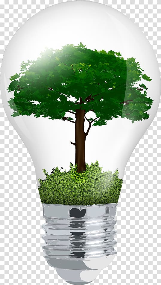 Incandescent light bulb Euclidean Tree, light bulb in the tree transparent background PNG clipart