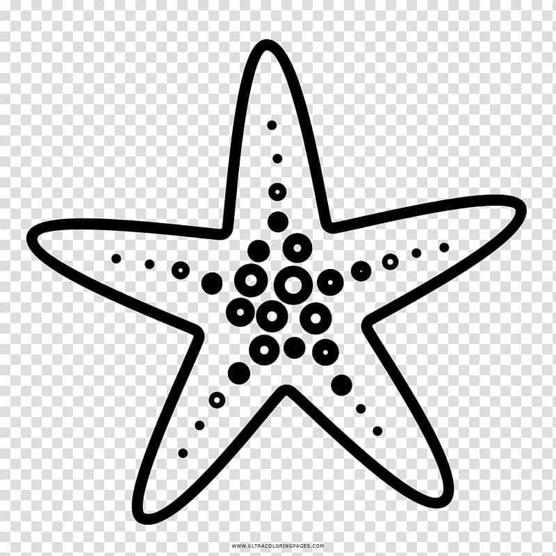 Starfish Drawing Coloring book Doodle, starfish transparent background PNG clipart