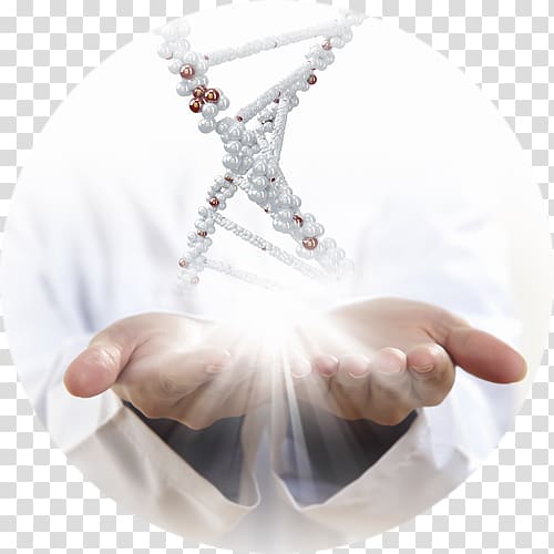 Stem cell Healing Diabetes mellitus Stem-cell therapy, adn transparent background PNG clipart