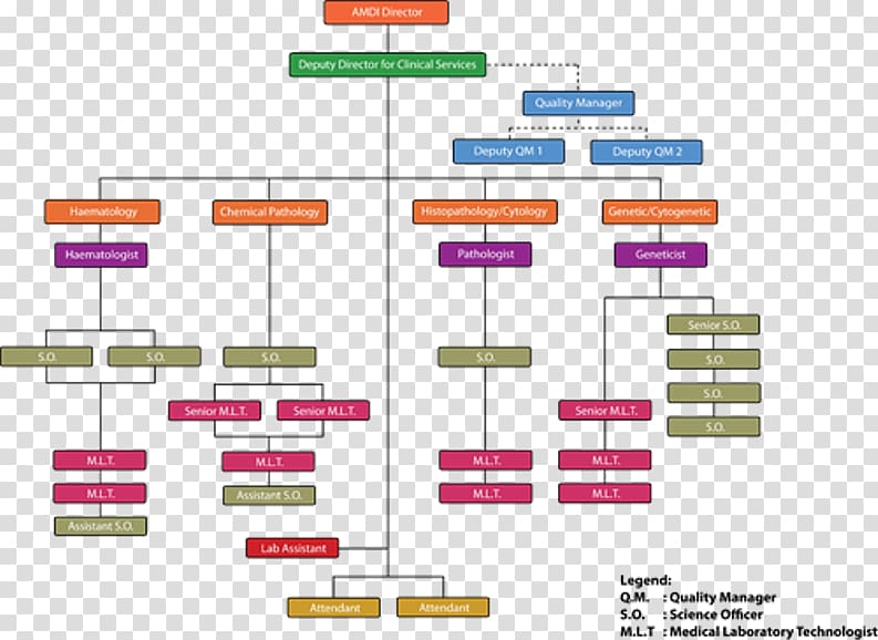 Organizational chart Organizational structure Non-profit organisation Health Care, others transparent background PNG clipart