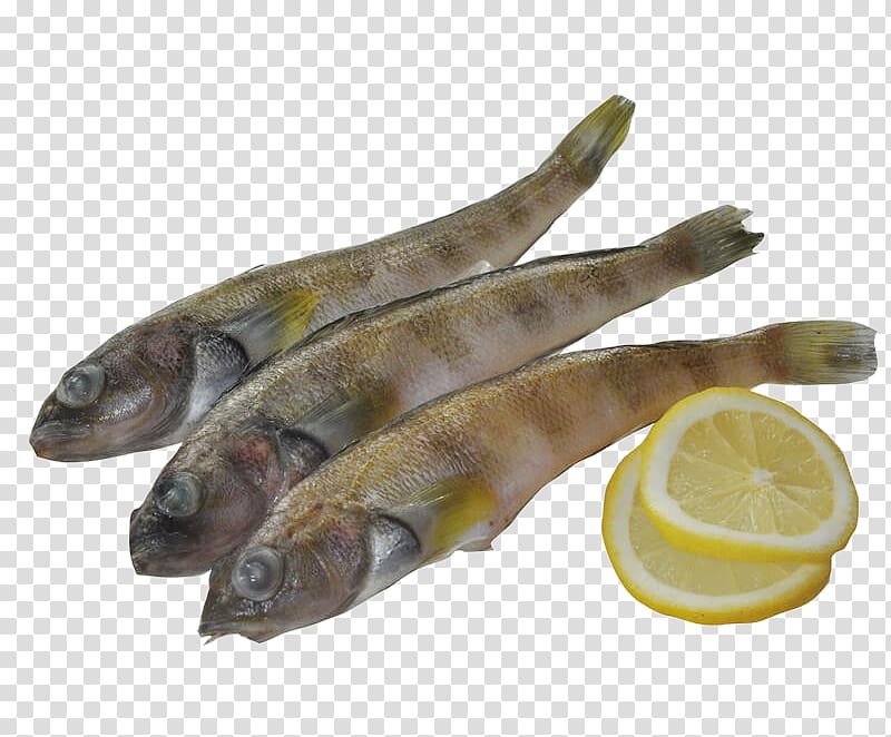 Fish Capelin, Ice Fish Lemon transparent background PNG clipart