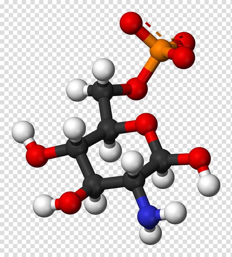 Molecule Carbohydrate metabolism Chemistry Glucosamine, Beta transparent background PNG clipart