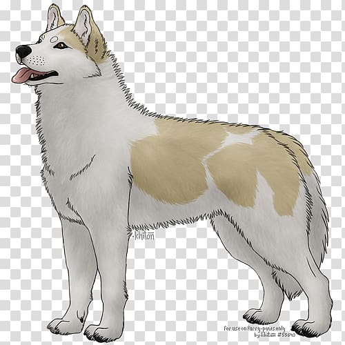 Siberian Husky East Siberian Laika West Siberian Laika Canadian Eskimo Dog Tamaskan Dog, siberian husky transparent background PNG clipart