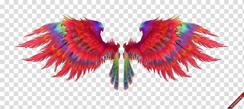 Feather Wing Beak, watercolor bird transparent background PNG clipart