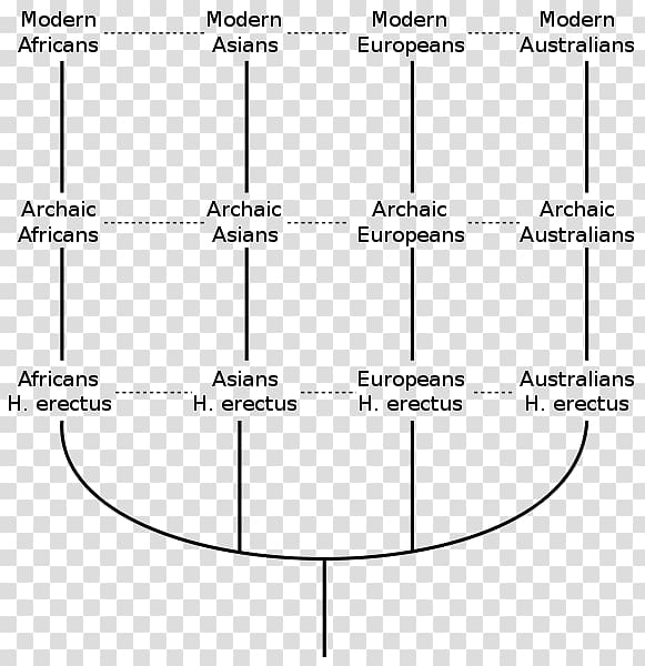 Multiregional origin of modern humans Recent African origin of modern humans Human evolution Archaic humans Homo sapiens, science transparent background PNG clipart