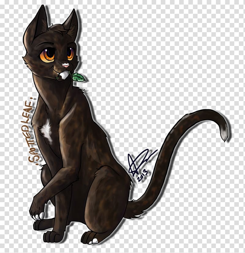 Cat Warriors Spottedleaf, Cat transparent background PNG clipart