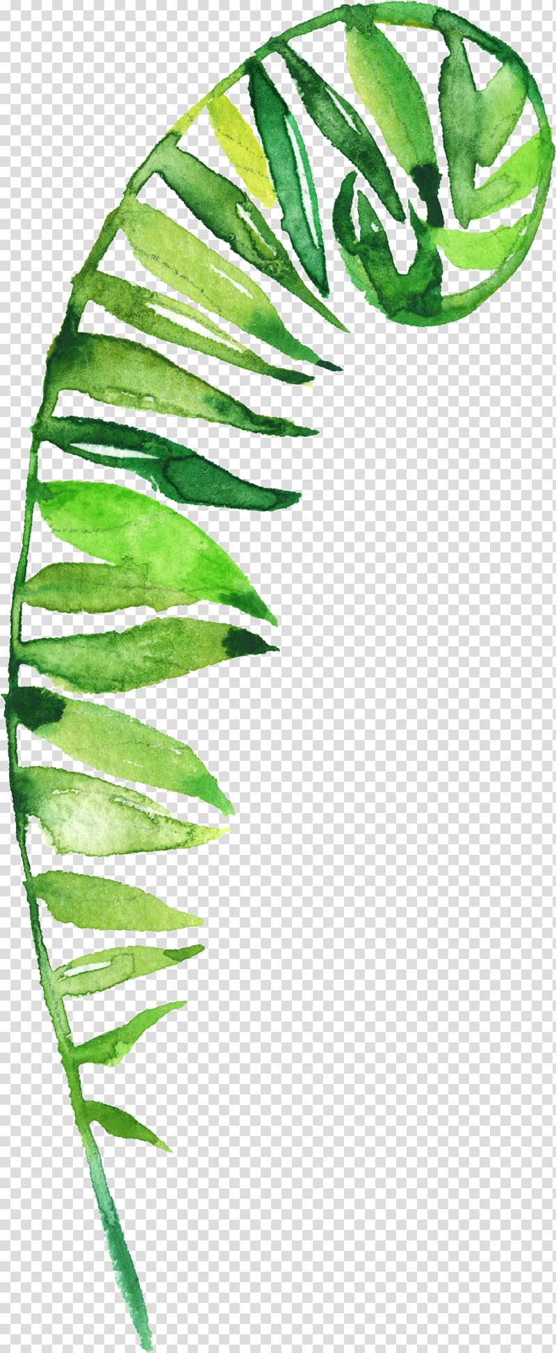 Leaf Flower , Hand-painted grass transparent background PNG clipart