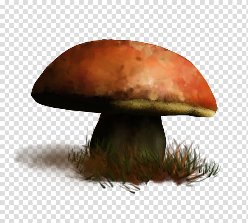 Edible mushroom Fungus GIF Medicinal fungi, mushroom transparent background PNG clipart