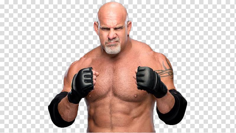 Bill Goldberg WWE Universal Championship Survivor Series Desktop WrestleMania 33, bill goldberg transparent background PNG clipart