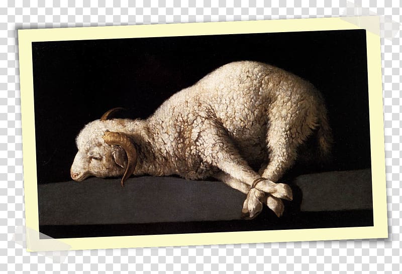 Bible Liturgy Westminster Confession of Faith God The Lamb, m youtube transparent background PNG clipart