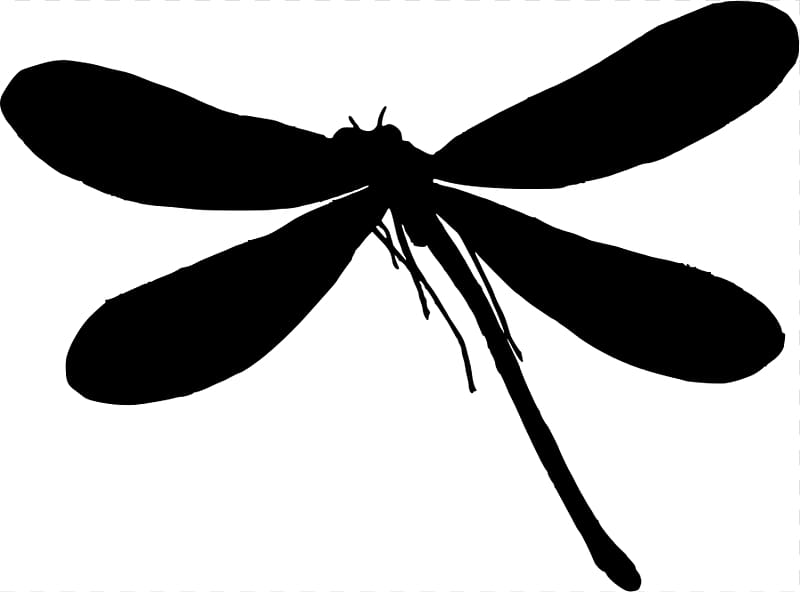 Silhouette Dragonfly , Dragonfly Graphics transparent background PNG clipart