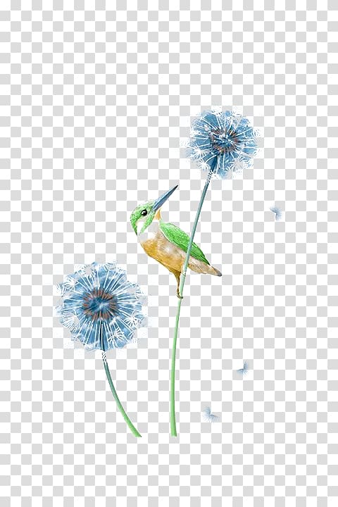 Bird Blue Kingfisher, Dandelion and Kingfisher transparent background PNG clipart