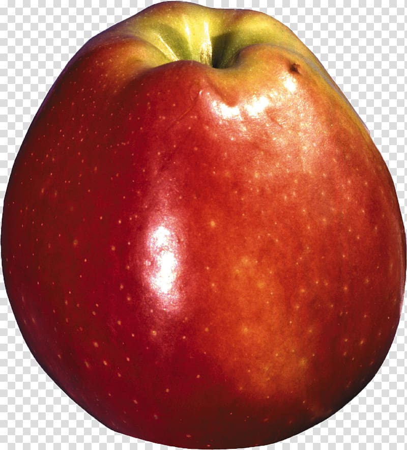 Apple Accessory fruit Windows thumbnail cache, apple transparent background PNG clipart