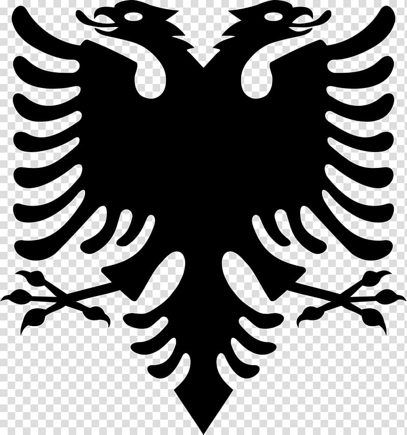 Flag of Albania Double-headed eagle Albanian Declaration of Independence, Flag transparent background PNG clipart