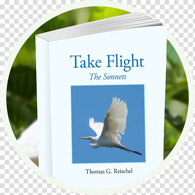 Take Flight: The Sonnets Poetry Beak Travel, DOĞUM GÜNÜ transparent background PNG clipart