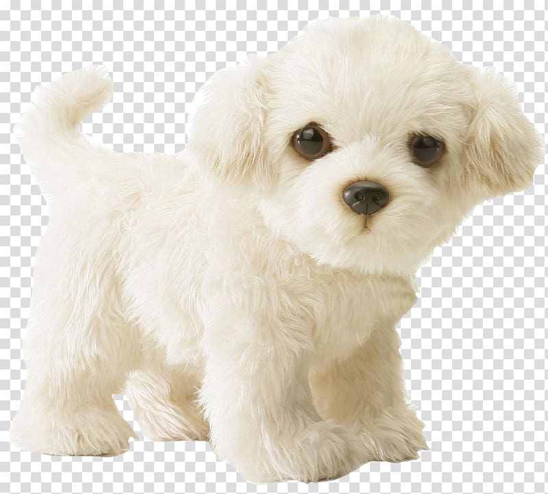 Maltese dog Puppy Stuffed Animals & Cuddly Toys Infant, poodle transparent background PNG clipart