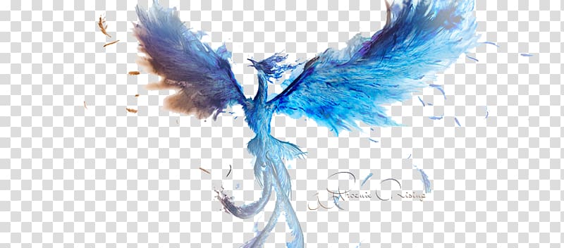 Blue Phoenix Transparent Background Png Cliparts Free Download Hiclipart - blue phoenix logos clipart black and white download phoenix decal roblox transparent png 1400x1400 free download on nicepng