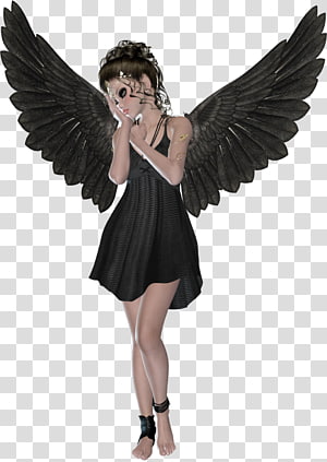 Black Wings Clipart transparent PNG - StickPNG