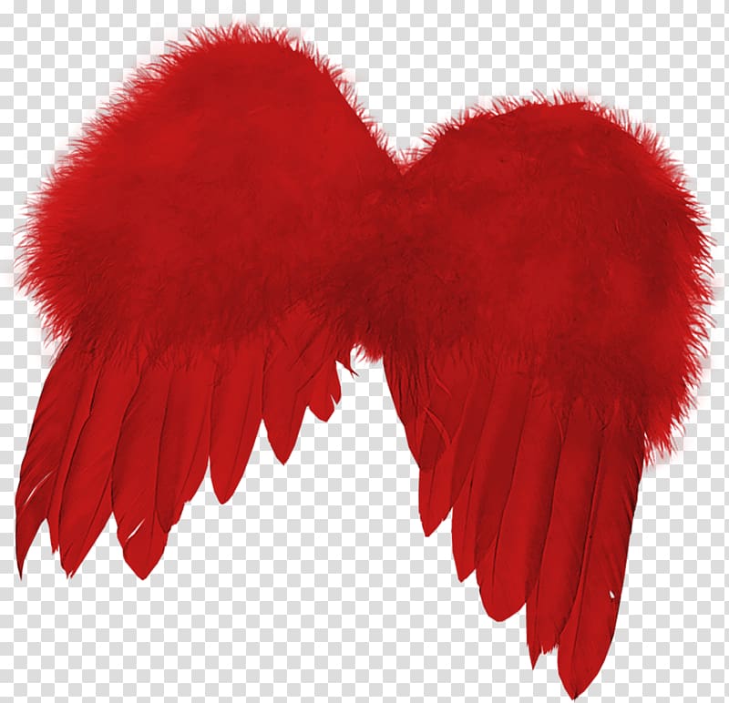 Feather, Red Wings transparent background PNG clipart