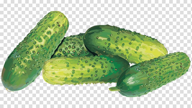 Pickled cucumber Spreewald gherkins Sprite Vegetable, cucumber transparent background PNG clipart