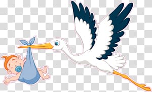 Stork transparent background PNG clipart