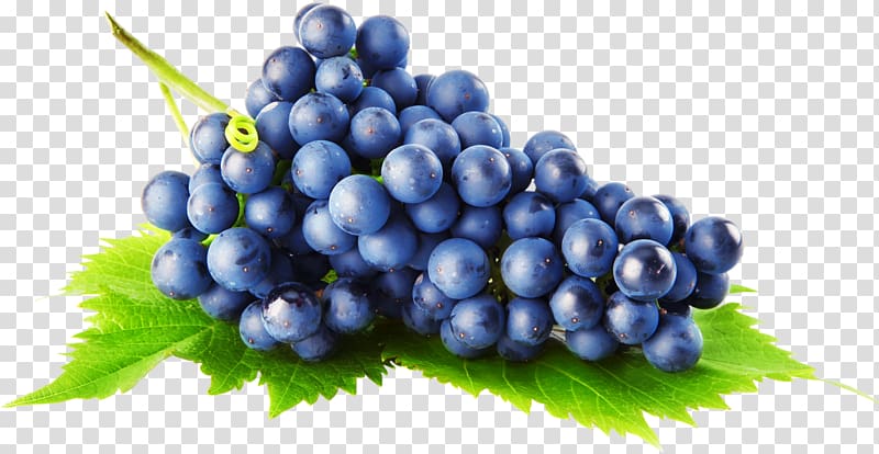 grapes on leaf, Common Grape Vine Grape pie, Grape transparent background PNG clipart