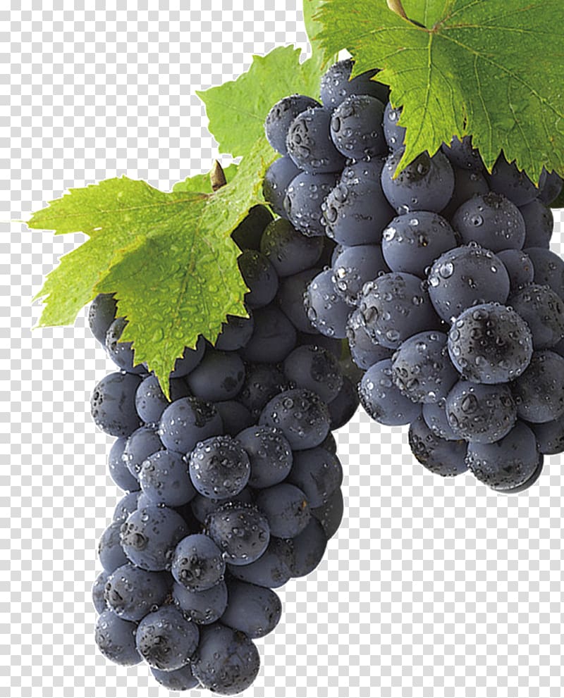 black grapes illustration, Grape Huyi District , grape transparent background PNG clipart