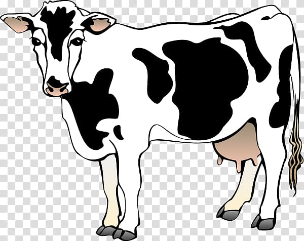 Holstein Friesian cattle Free content Dairy cattle , Cow Eating transparent background PNG clipart