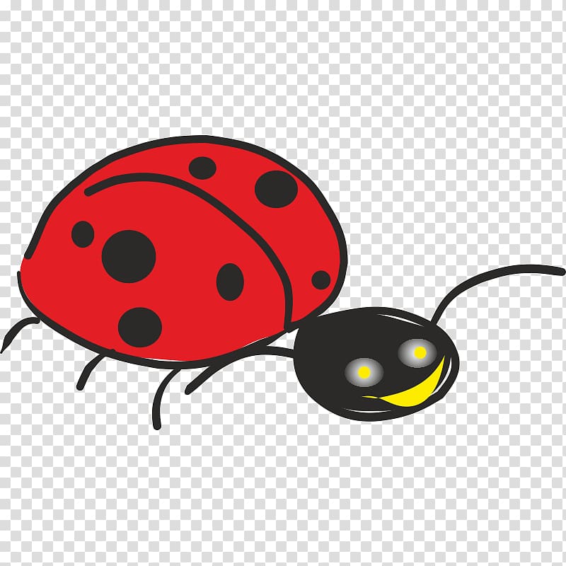 Beetle Coccinella septempunctata Zhuchok Ladybird, beetle transparent background PNG clipart