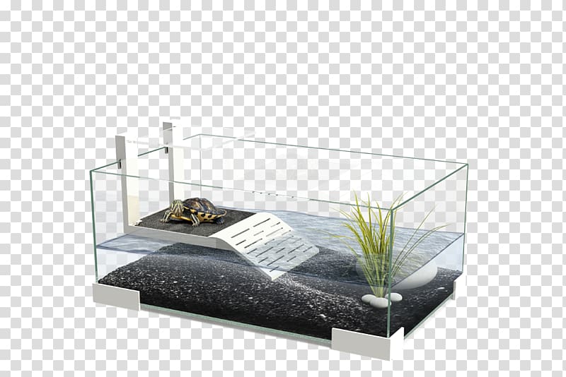 Turtle Reptile Aquarium Terrarium Terrapin, baltimore aquarium transparent background PNG clipart