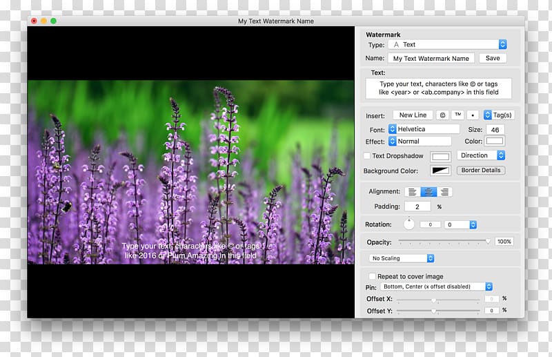 macOS Digital watermarking Computer Software, watermark transparent background PNG clipart