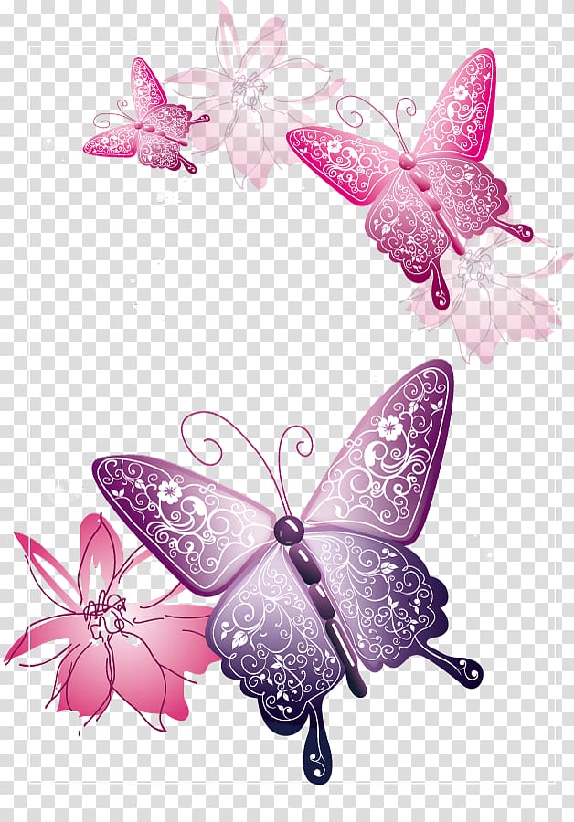 Butterfly , copywriter background elements transparent background PNG clipart