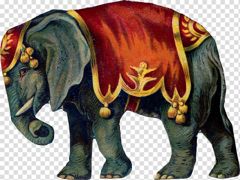 grey and red elephant illustration, Circus Elephant , Circus transparent background PNG clipart