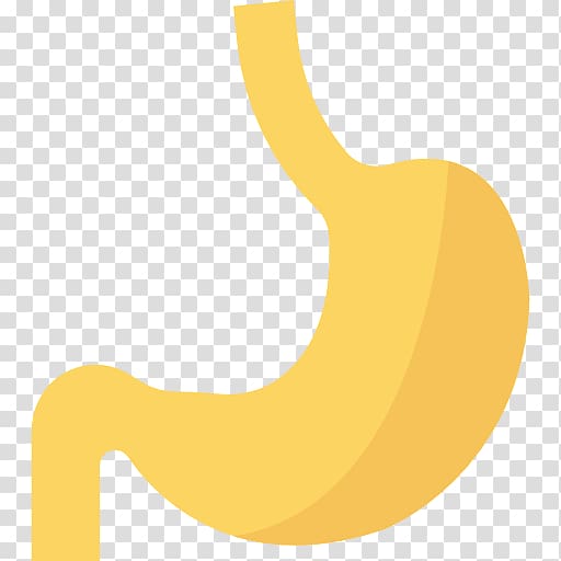 Hospital City , Stomach icon transparent background PNG clipart