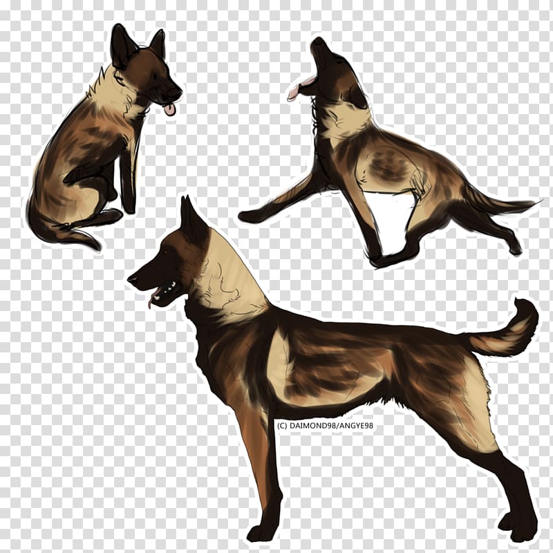 Dog breed Cat Tail, Cat transparent background PNG clipart