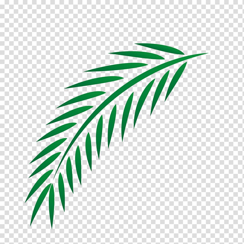 Leaf Euclidean , Easter palm leaves transparent background PNG clipart