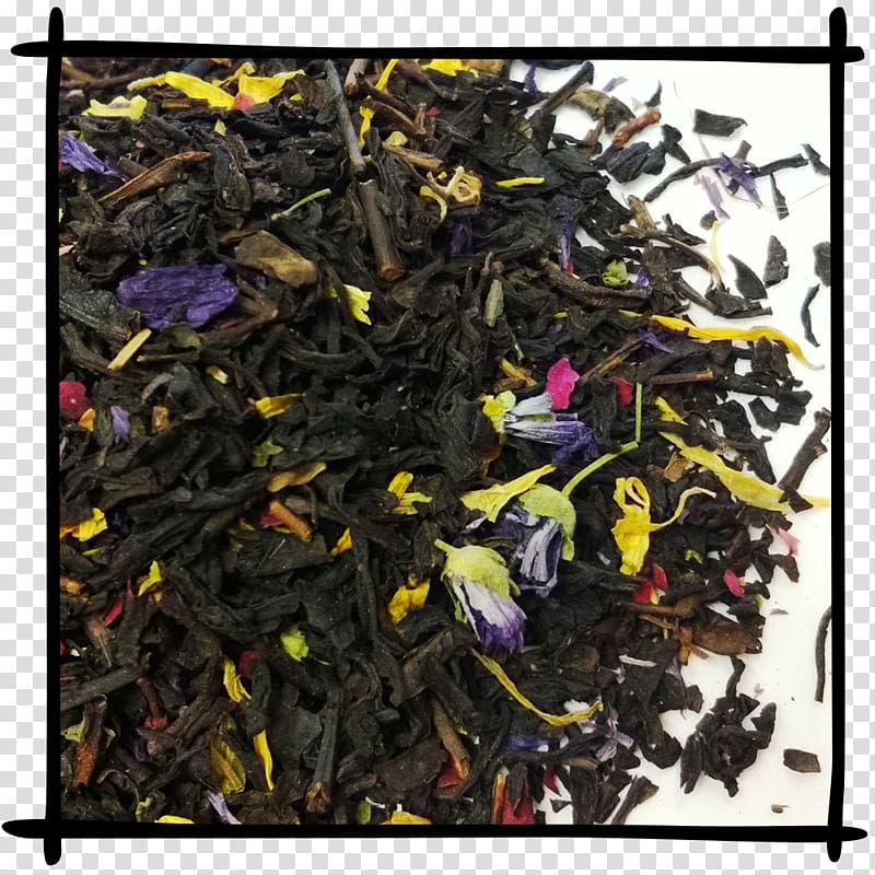 Nilgiri tea Oolong Tea plant Scrap, leaves Ink transparent background PNG clipart