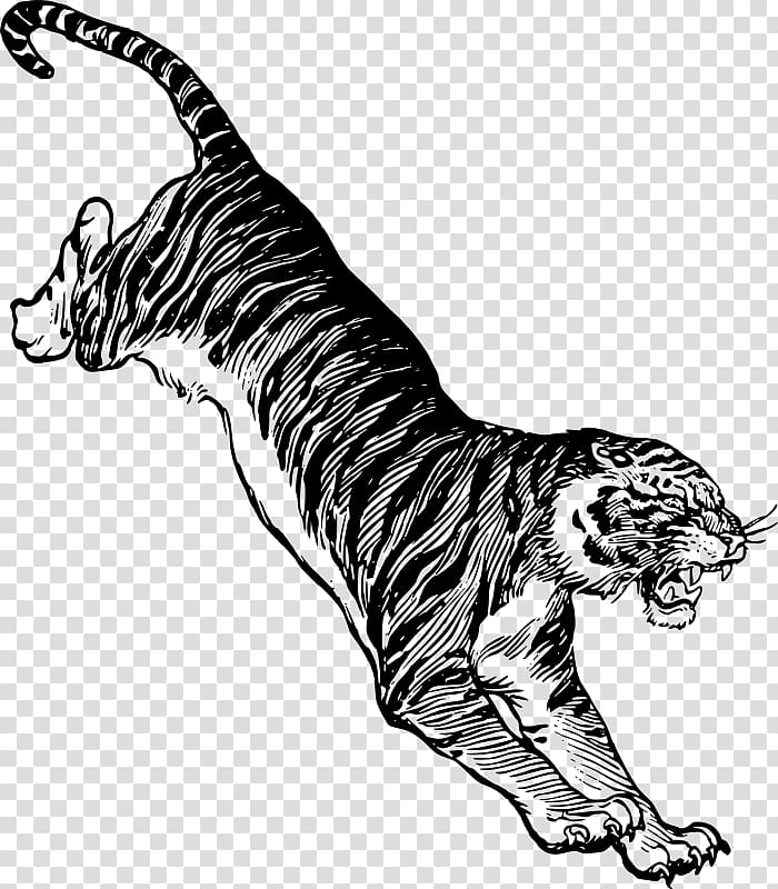 Felidae White tiger Drawing , jumping transparent background PNG clipart