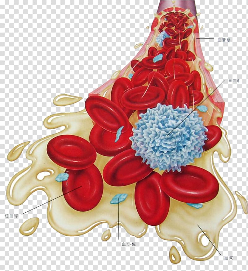 Hematology Hematologic disease Medicine Research, Medical blood cell graphics transparent background PNG clipart