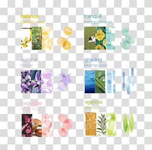 Packaging and labeling Muli Tibetan Autonomous County Facial, design transparent background PNG clipart thumbnail