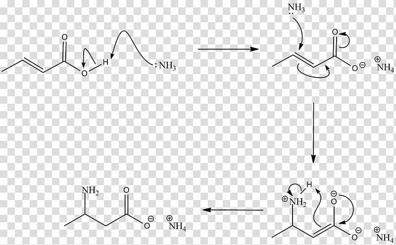 Carboxylic acid Amine Chemical reaction Amide, amine group transparent background PNG clipart