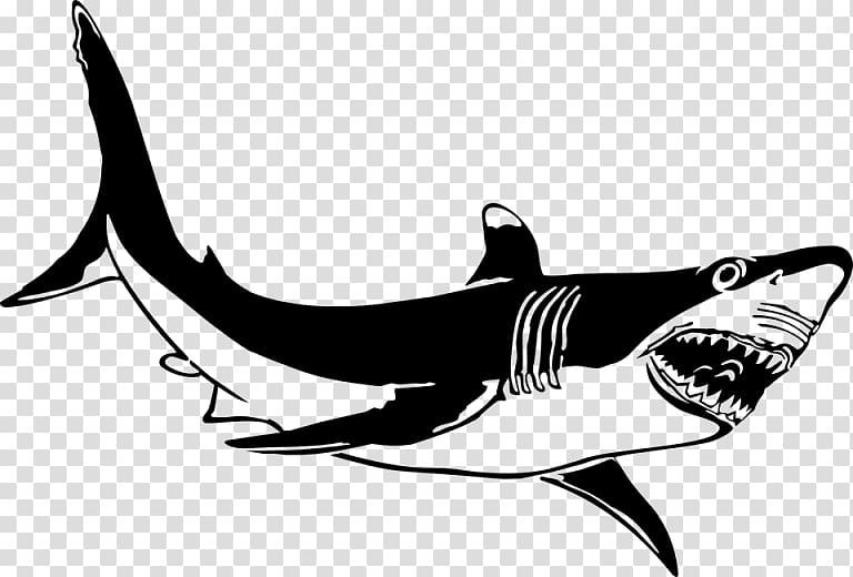 Great white shark Hungry Shark Evolution , shark transparent background PNG clipart